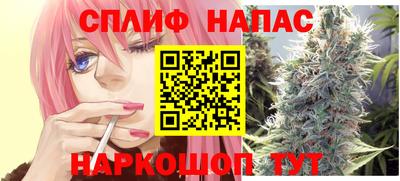 гашик Гусиноозёрск
