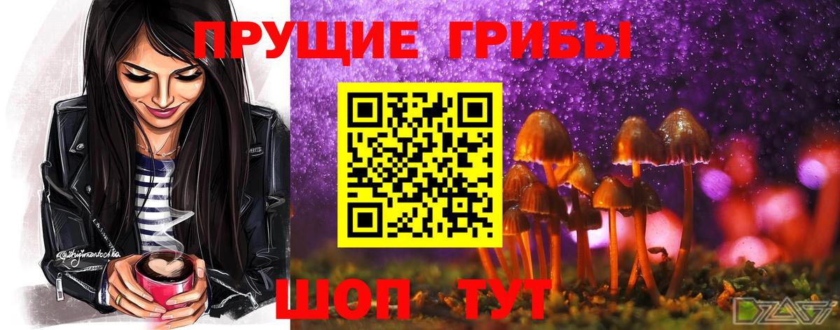 Псилоцибиновые грибы прущие грибы Энгельс